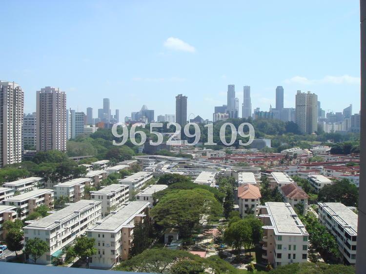 Regency Suites (D3), Apartment #114296982